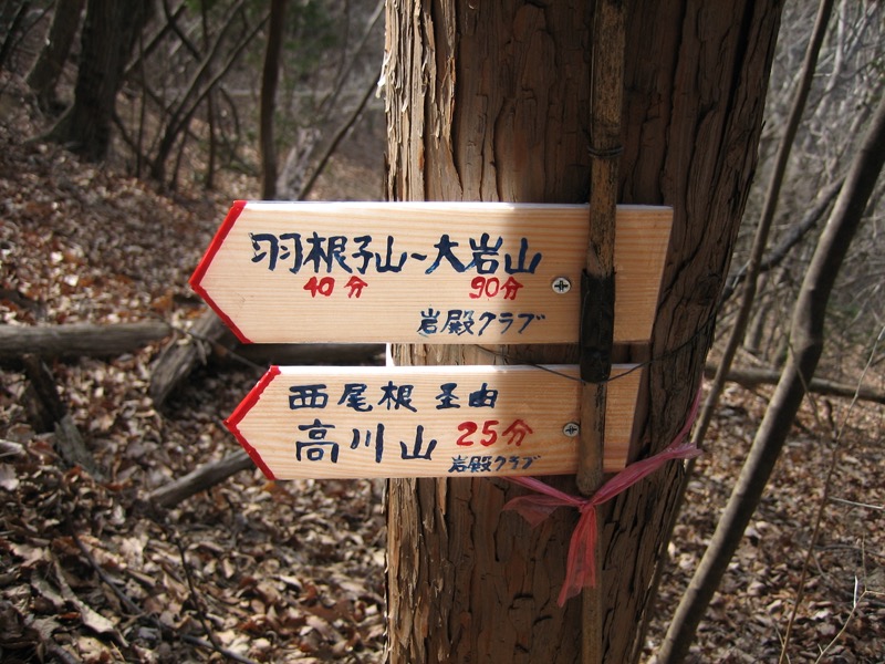高川山